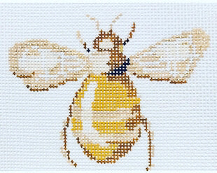 Scarab Collection - Yellow