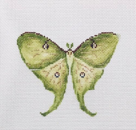 Luna Moth
