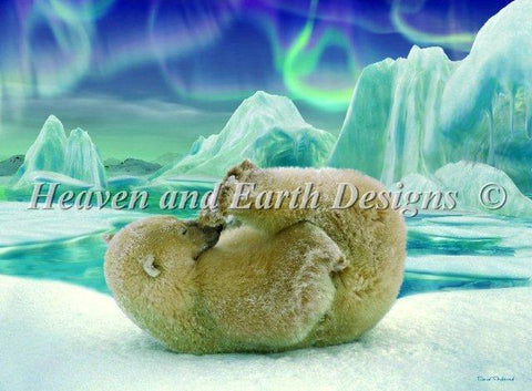 Polar Bear Fun