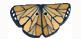 Monarch Butterfly (Tiny) button