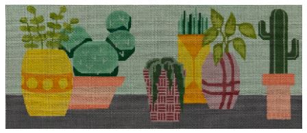 Potted Cacti