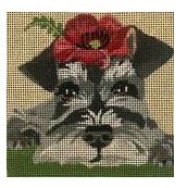 Schnauzer
