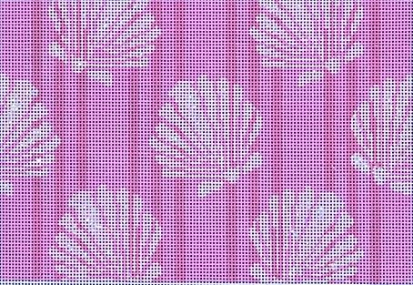Shells/Stripes Clutch - Pink