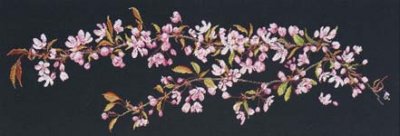 Sakura (On Black)