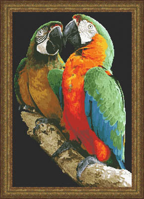 Macaws
