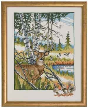 Deer