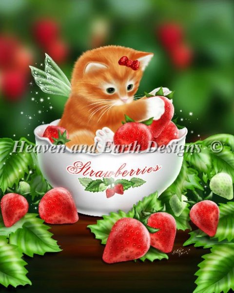 Strawberry Kitten