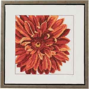 Dahlia