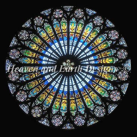 Rose - Notre Dame
