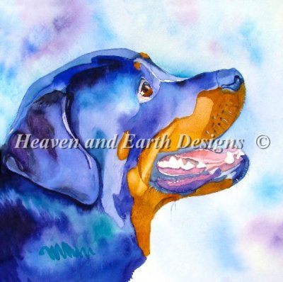 Rottweiler 