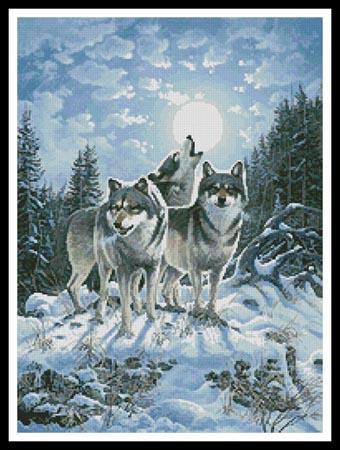 Midnight Watcher  (Derk Hansen)