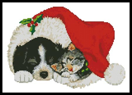 Xmas Cat and Dog