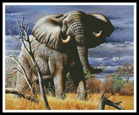 Power and Presence  (Cynthie Fisher)