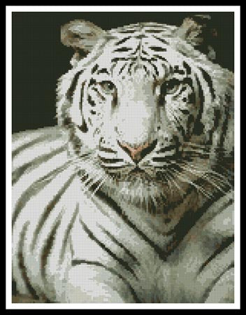 White Tiger