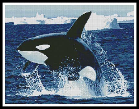Whale