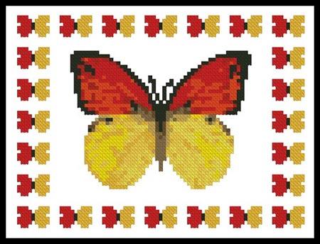Mini Butterfly Sampler 1