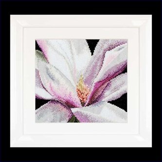 Magnolia