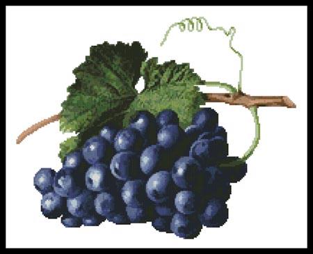 Fruit of the Vine  (Augusta Innes Withers)