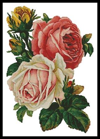 Victorian Roses