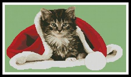 Christmas Kitten  (Greg Cuddiford)
