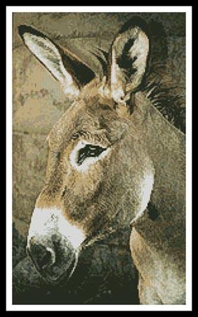 Donkey