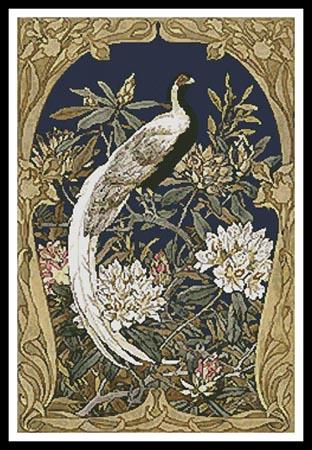 Exotic Bird