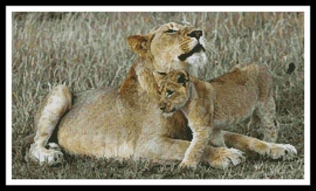 Lioness and Cub