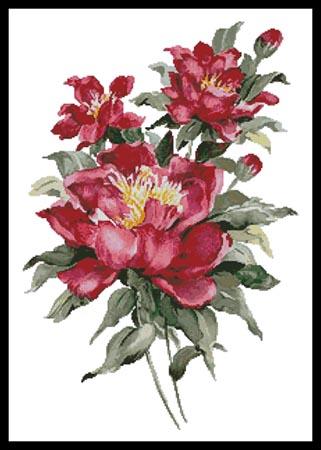 Red Peonies  (Joy Waldman)