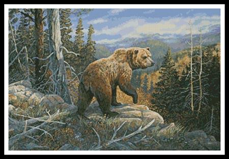 Grizzlies Domain