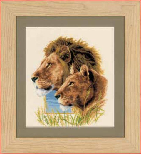 Lion Couple