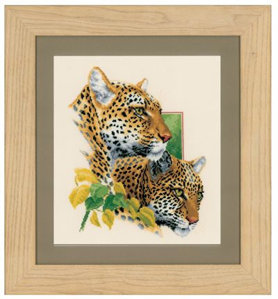 Cheetah Pair