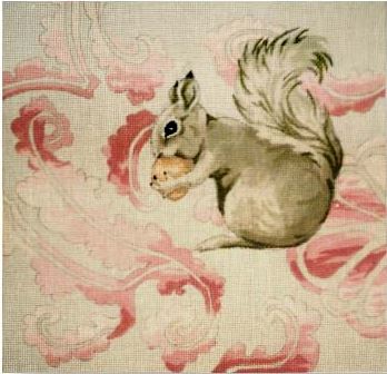 Squirrel w/Pink Background