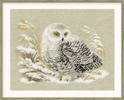 White Owl