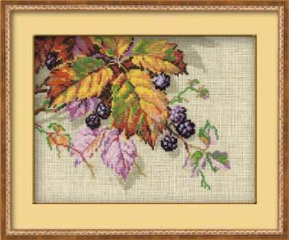 Blackberries