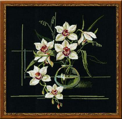 White Orchid