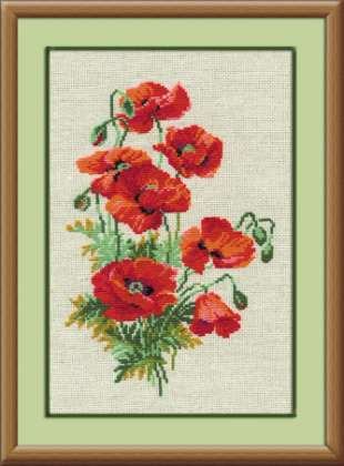 Wild Poppies