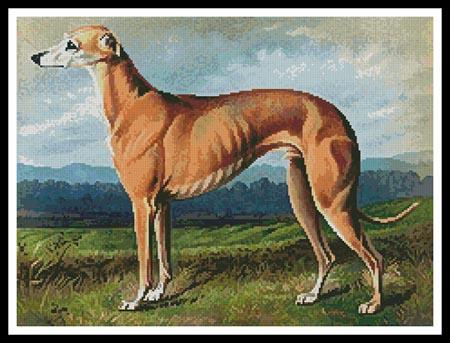 Greyhound (Cassell)