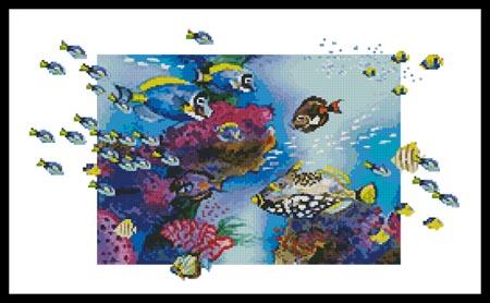 Clown Triggerfish  (Henri Hunsinger)