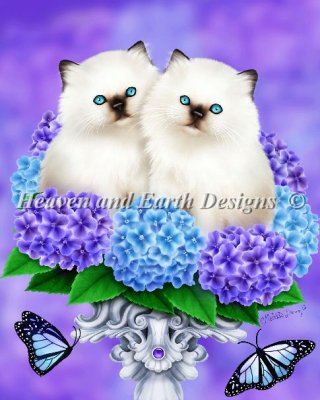 Cats of Spring, The