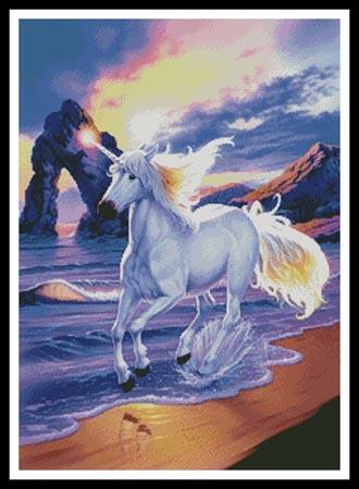 Unicorn Beach  (Steve Read)