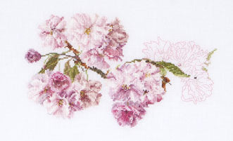 Prunus