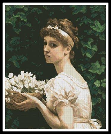 Pea Blossoms  (Jon Rattenbury)