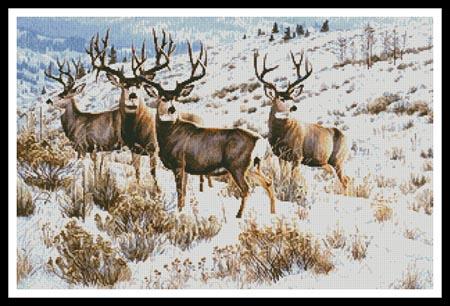 Members Only  (Cynthie Fisher)