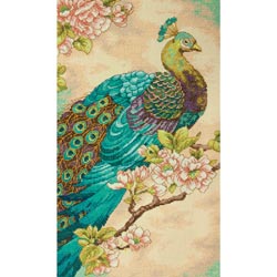 Indian Peacock