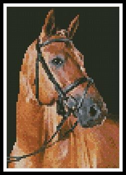 Mini Portrait of a Brown Horse