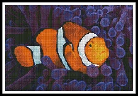Clownfish in Anemone
