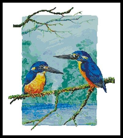 Two Azure Kingfishers