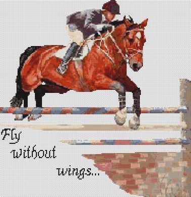 Fly Without Wings