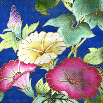Morning Glories