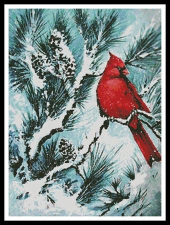 Winter's Glory  (Jamie Carter)